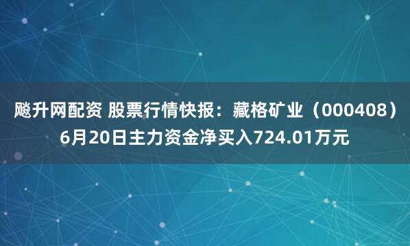 飚升网配资 股票行情快报：藏格矿业（000408）6月20日主力资金净买入724.01万元