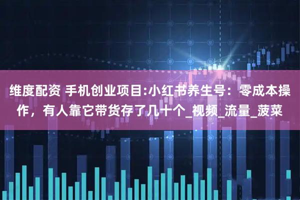 维度配资 手机创业项目:小红书养生号：零成本操作，有人靠它带货存了几十个_视频_流量_菠菜