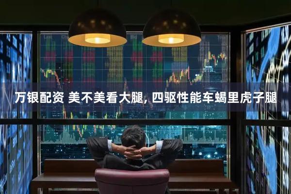 万银配资 美不美看大腿, 四驱性能车蝎里虎子腿