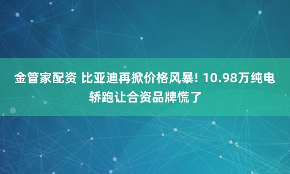 金管家配资 比亚迪再掀价格风暴! 10.98万纯电轿跑让合资品牌慌了